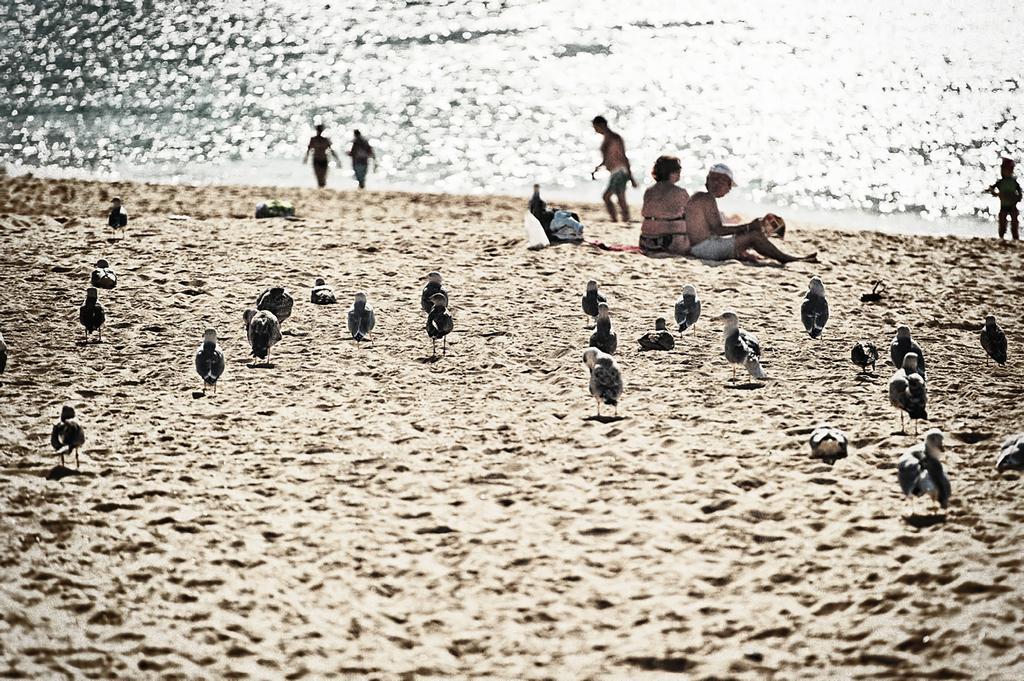 Armação de Pêra Rosamar Apartamentos מראה חיצוני תמונה